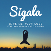 Give Me Your Love (feat. John Newman & Nile Rodgers)