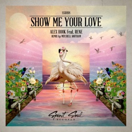 Show Me Your Love (feat. Rene) Alex Hook