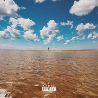 We Could Just Enjoy Ourselves - Single - Cyrus