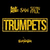 Sak Noel - Trumpets (feat. Sean Paul)