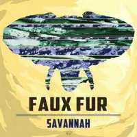 When the Eyes Meet — Faux Fur