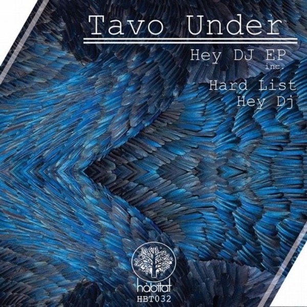 Hey Dj - Single