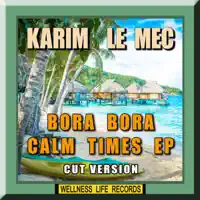 Pool Shark — Karim Le Mec