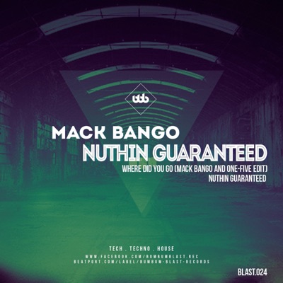 Nuthin Guaranteed - Single