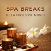 Spa Breaks: Relaxing Spa Music, Pampering with Peaceful Nature Sounds, Healing Zen Tracks, Deep Sleep Therapy, Relaxation Meditation