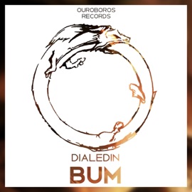 Bum DialedIN