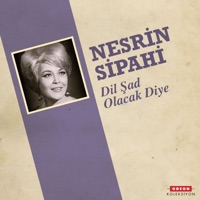 Dil Şad Olacak Diye - Single - Nesrin Sipahi