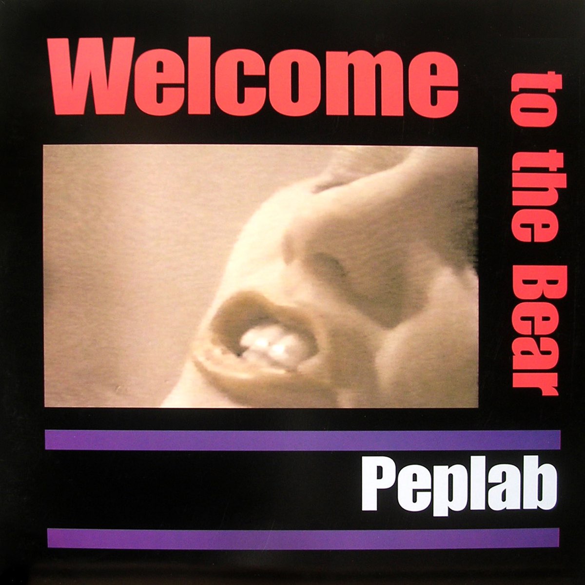 Welcome To the Bear (Remixes) - EP by Peplab on Apple Music 