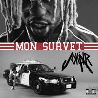 Mon survet - Single - Jok'air