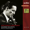 Concerto in D Major, RV 230: II. Larghetto (Cello Version) - Antonio Janigro & Zagreb Soloists