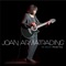 Willow - Joan Armatrading lyrics