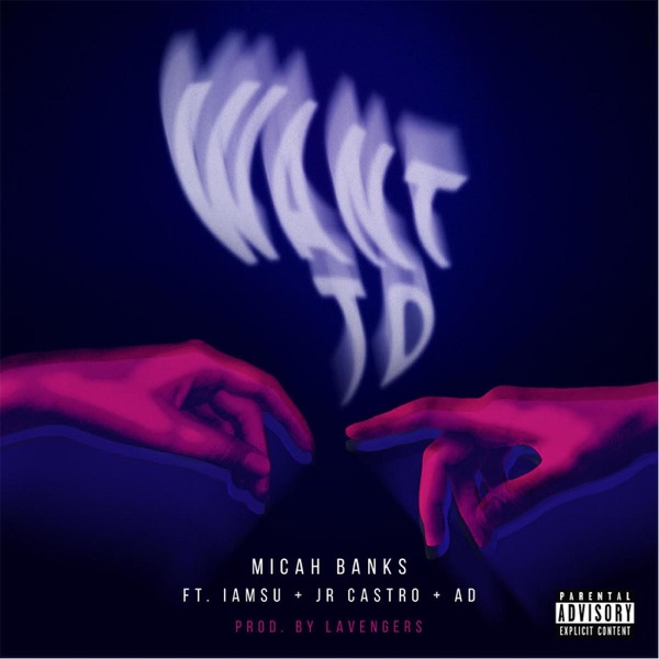 Want To (feat. JR Castro, Iamsu & AD) - Single - Micah Banks