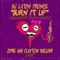 Burn It Up (feat. Nuthin' Under A Million) - Latin Prince lyrics