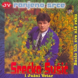 Srecko Susic - Ulica Radja Gresnike