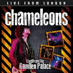 Live From London (Live) - The Chameleons