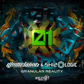 Granular Reality Illumination & Skizologic