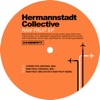 Hermannstadt Collective