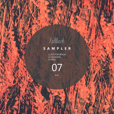 Bullfinch Sampler #7 - Single