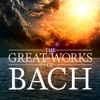 The English Concert & Andrew Manze - Brandenburg Concerto No. 3 in G Major, BWV 1048: I. (Allegro)
