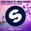 Stream & download Shadows of Love (feat. Heidi Rojas) [Extended Mix]