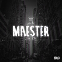 Maester - Single - Wouter