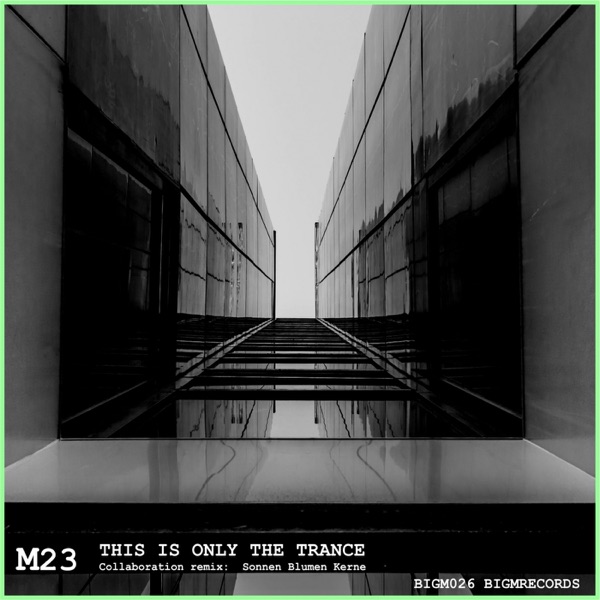 This Is Only the Trance - Single