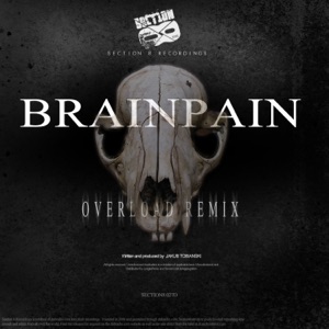 System Overload - Single