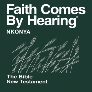 Matthew 1