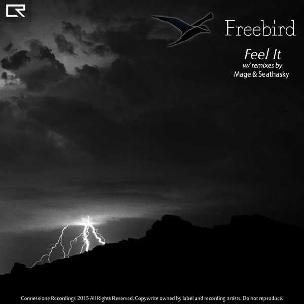 Feel It - EP