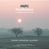 Msc Mindfulness