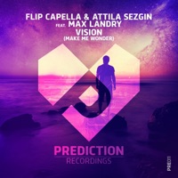 Vision (Make Me Wonder) [feat. Max Landry] - Single - Flip Capella & Attila Sezgin