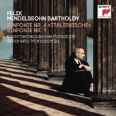 Symphony No. 1 in C Minor, Op. 11: IV. Allegro con fuoco artwork