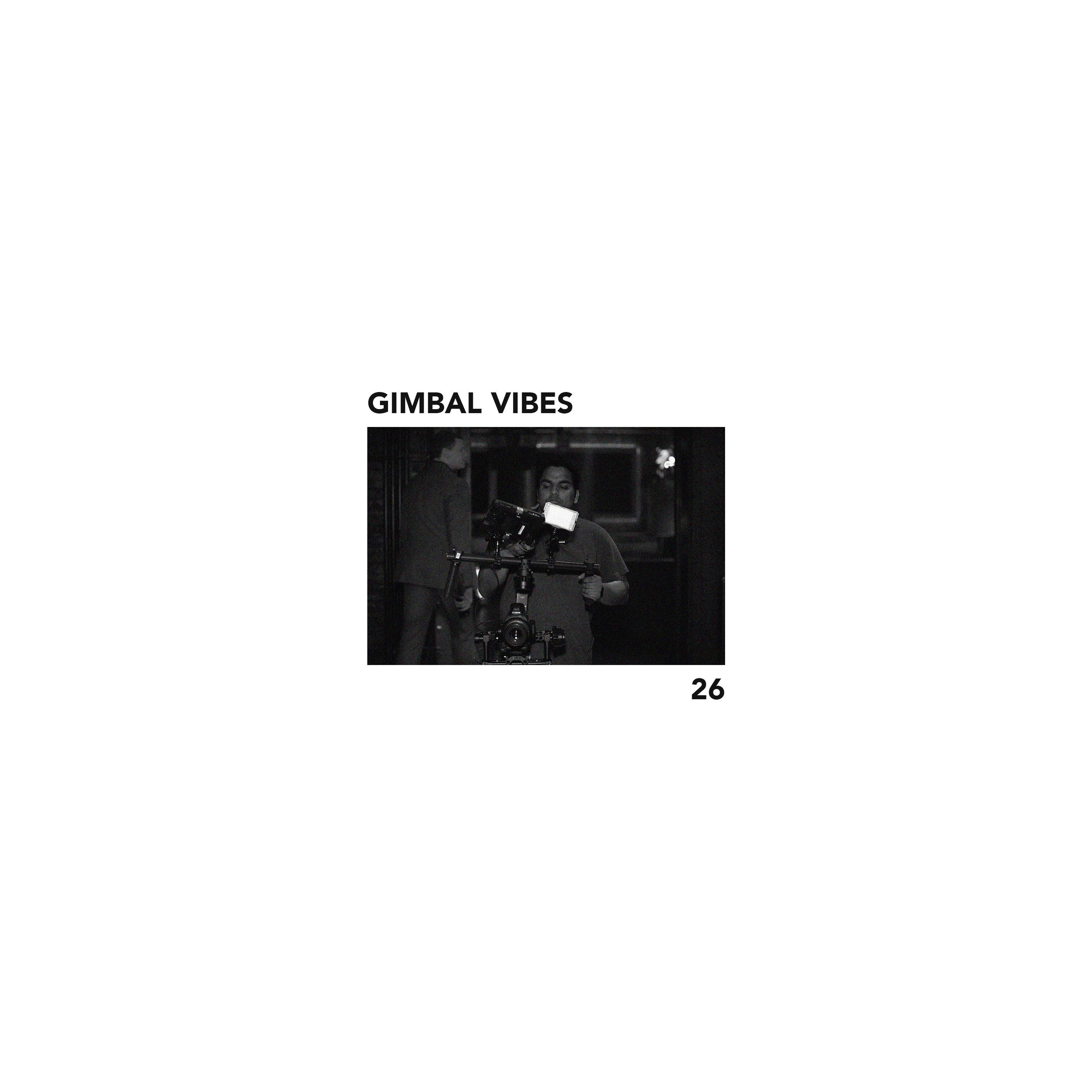 Gimbal Vibes - EP