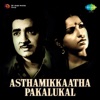 K. J. Yesudas - Manathu Marivil