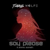 Say Please (feat. Emma Sameth) artwork