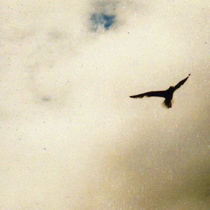 Perfect Vacuum - EP