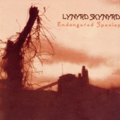 Lynyrd Skynyrd - Down South Juking