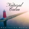 Natural Calm: Meditation Music, Deep Sleep, Birds Songs, Nature Sounds for Relaxation Stress, Inner Harmony and Bliss