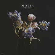 Petricolour - EP - MOTSA