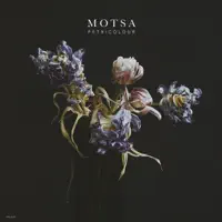 Petrichor (feat. Sophie Lindinger)