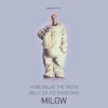 Howling at the Moon (Billy Da Kid Radio Mix) - Single, 2016