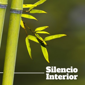 Silencio Interior: Música para Descansar y Meditar, Música de Fondo para el Relajamiento de Mente, Cuerpo y Espíritu