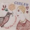 Meet the Curlews - Curlew lyrics