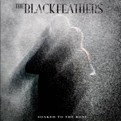 The Black Feathers - Make You Feel My Love