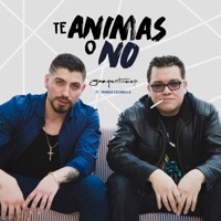Te Animas o No (feat. Franco Escamilla) - Single - Sargentorap