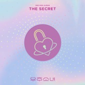 The Secret artwork