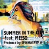 Summer In The City feat. Meiso - Single