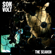 The Picture - Son Volt