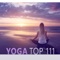 Spa Music Paradise - Yin Yoga Academy lyrics