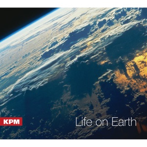 Life on Earth